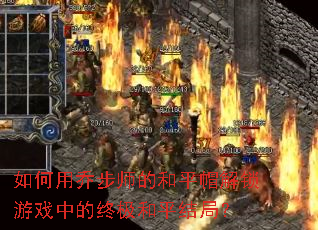 ������ǲ�ʦ�ĺ�ƽñ������Ϸ�е��ռ���ƽ��֣�