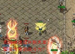 ��ο�������ʤ�쵥ְҵ�����ս������