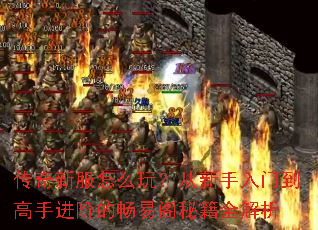 �����·���ô�棿���������ŵ����ֽ��׵ĳ��׸��ؼ�ȫ����