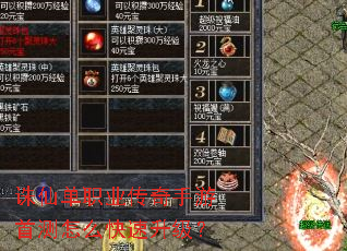 ���ɵ�ְҵ���������ײ���ô����������