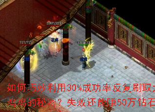 �����������30%�ɹ��ʷ���ˢȡ�󼦼������ܣ�ʧ�ܻ���׬50����ʯ��