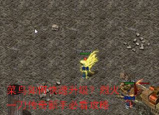 ������ο����������һ�һ���������ֱؿ�����