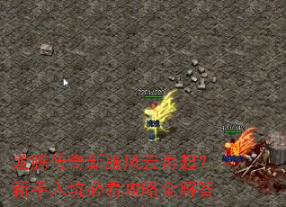 ���ڴ����·���������������ӱؿ�����ȫ���