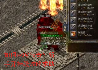 如何叱咤传奇?新手开挂级攻略求助 如何叱咤传奇?新手开挂级攻略求助