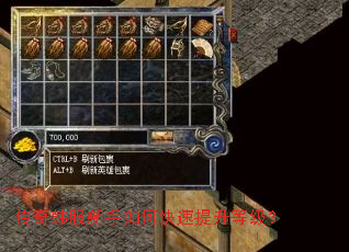 传奇韩服新手如何快速提升等级? 传奇韩服新手如何快速提升等级?