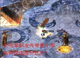 ���ӵ�ְҵ�����ʮ����ο�������ս����