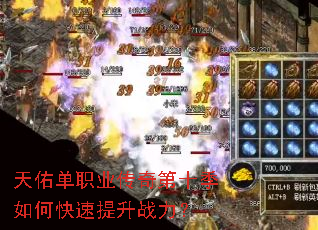 ���ӵ�ְҵ�����ʮ����ο�������ս����