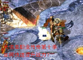 ���ӵ�ְҵ�����ʮ����ο�������ս����