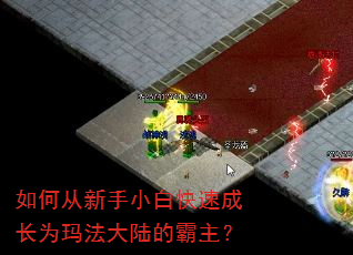 ��δ�����С�׿��ٳɳ�Ϊ�귨��½�İ�����