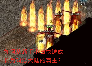 ��δ�����С�׿��ٳɳ�Ϊ�귨��½�İ�����