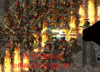 ��1.76��Ѫ����˽���������ѡ������ķ���