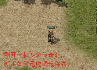 刚开一秒变态传奇SF,新手如何迅速崛起称霸? 刚开一秒变态传奇SF,新手如何迅速崛起称霸?