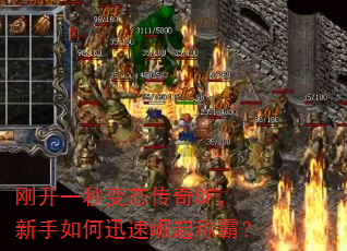 刚开一秒变态传奇SF,新手如何迅速崛起称霸? 刚开一秒变态传奇SF,新手如何迅速崛起称霸?
