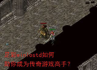 ���winlostd��������Ϊ������Ϸ���֣�
