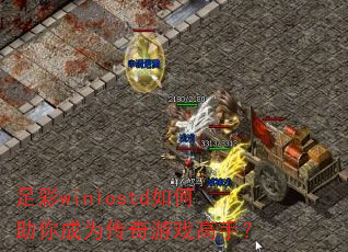 ���winlostd��������Ϊ������Ϸ���֣�