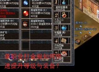 单职业打金服如何快速提升等级与装备? 单职业打金服如何快速提升等级与装备?