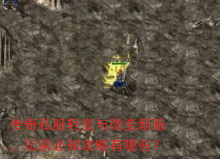 传奇私服轻变与微变新服,玩家必知攻略有哪些? 传奇私服轻变与微变新服,玩家必知攻略有哪些?