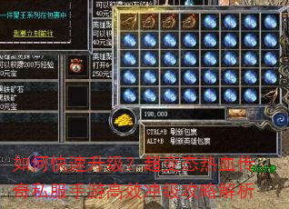 如何快速升级?超变态热血传奇私服手游高效冲级攻略解析 如何快速升级?超变态热血传奇私服手游高效冲级攻略解析