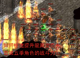 如何快速提升龍鳳变态合击第五季角色的战斗力? 如何快速提升龍鳳变态合击第五季角色的战斗力?