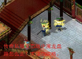 传奇私服变态版中魔龙血路怎么走?求详细攻略。 传奇私服变态版中魔龙血路怎么走?求详细攻略。