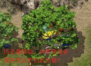 四圣兽降临,如何快速获取并驾驭它们的力量? 四圣兽降临,如何快速获取并驾驭它们的力量?