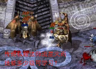 传奇私服法师流星火雨技能多少级可学习? 传奇私服法师流星火雨技能多少级可学习?