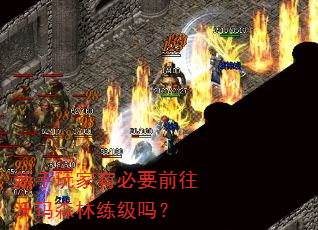 新手玩家有必要前往沃玛森林练级吗? 新手玩家有必要前往沃玛森林练级吗?