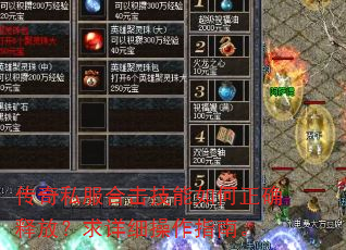 传奇私服合击技能如何正确释放?求详细操作指南。 传奇私服合击技能如何正确释放?求详细操作指南。