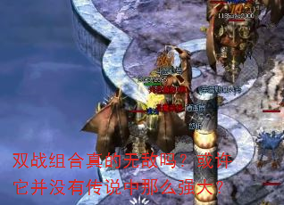 双战组合真的无敌吗?或许它并没有传说中那么强大? 双战组合真的无敌吗?或许它并没有传说中那么强大?