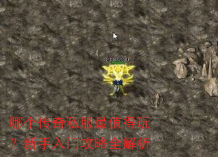 哪个传奇私服最值得玩?新手入门攻略全解析 哪个传奇私服最值得玩?新手入门攻略全解析