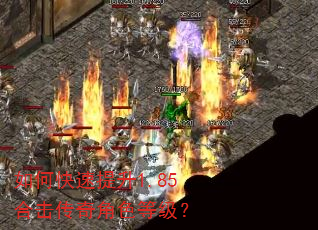 如何快速提升1.85合击传奇角色等级? 如何快速提升1.85合击传奇角色等级?