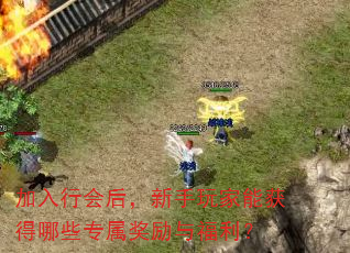 加入行会后,新手玩家能获得哪些专属奖励与福利? 加入行会后,新手玩家能获得哪些专属奖励与福利?