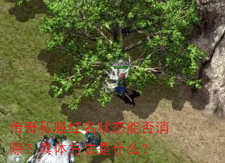 传奇私服红名状态能否消除?具体方法是什么? 传奇私服红名状态能否消除?具体方法是什么?
