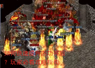 如何快速提升内功等级?玩家必看攻略指南 如何快速提升内功等级?玩家必看攻略指南