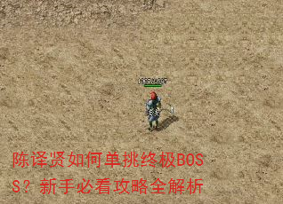 陈译贤如何单挑终极BOSS?新手必看攻略全解析 陈译贤如何单挑终极BOSS?新手必看攻略全解析