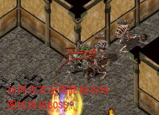 ��ι��˱�ѩ���عȵ�ͼ���ռ�BOSS��
