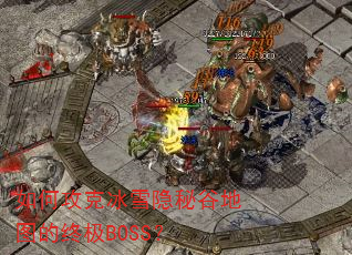 ��ι��˱�ѩ���عȵ�ͼ���ռ�BOSS��