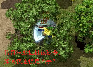 传奇私服挂机被秒杀,如何快速锁定凶手? 传奇私服挂机被秒杀,如何快速锁定凶手?