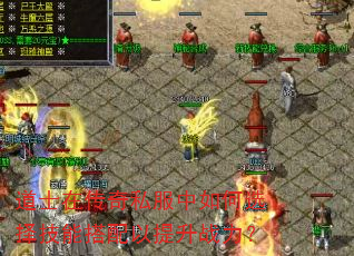 道士在传奇私服中如何选择技能搭配以提升战力? 道士在传奇私服中如何选择技能搭配以提升战力?