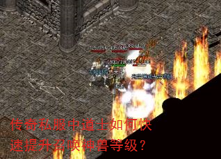 传奇私服中道士如何快速提升召唤神兽等级? 传奇私服中道士如何快速提升召唤神兽等级?