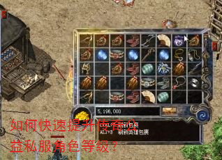 如何快速提升传奇公益私服角色等级? 如何快速提升传奇公益私服角色等级?