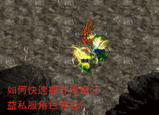 如何快速提升传奇公益私服角色等级? 如何快速提升传奇公益私服角色等级?