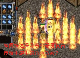 如何快速提升杀神恶魔复古传奇手游中的角色等级? 如何快速提升杀神恶魔复古传奇手游中的角色等级?