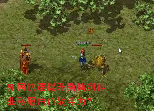 如何快速提升新仙剑神曲私服角色战斗力? 如何快速提升新仙剑神曲私服角色战斗力?