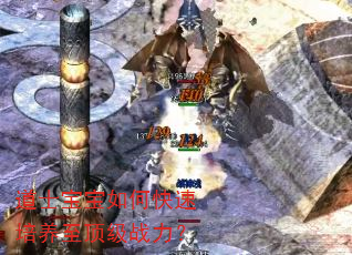 道士宝宝如何快速培养至顶级战力? 道士宝宝如何快速培养至顶级战力?