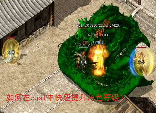 如何在cqsf中快速提升角色等级? 如何在cqsf中快速提升角色等级?