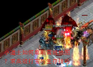 小道士如何单刷雪域地图?求高效打宝与生存技巧 小道士如何单刷雪域地图?求高效打宝与生存技巧
