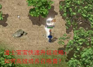 道士宝宝快速升级攻略:如何高效培养召唤兽? 道士宝宝快速升级攻略:如何高效培养召唤兽?