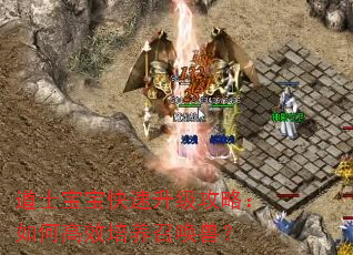 道士宝宝快速升级攻略:如何高效培养召唤兽? 道士宝宝快速升级攻略:如何高效培养召唤兽?