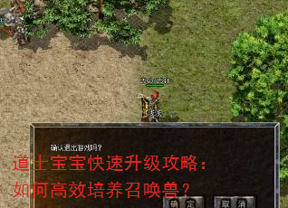 道士宝宝快速升级攻略:如何高效培养召唤兽? 道士宝宝快速升级攻略:如何高效培养召唤兽?